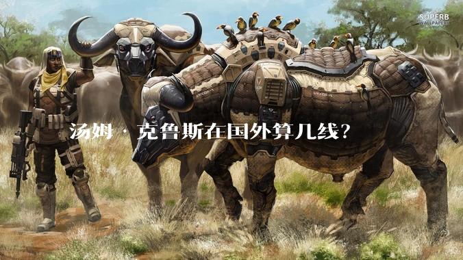 汤姆·克鲁斯在国外算几线?